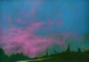 Jackson Hensley Gallery: Image